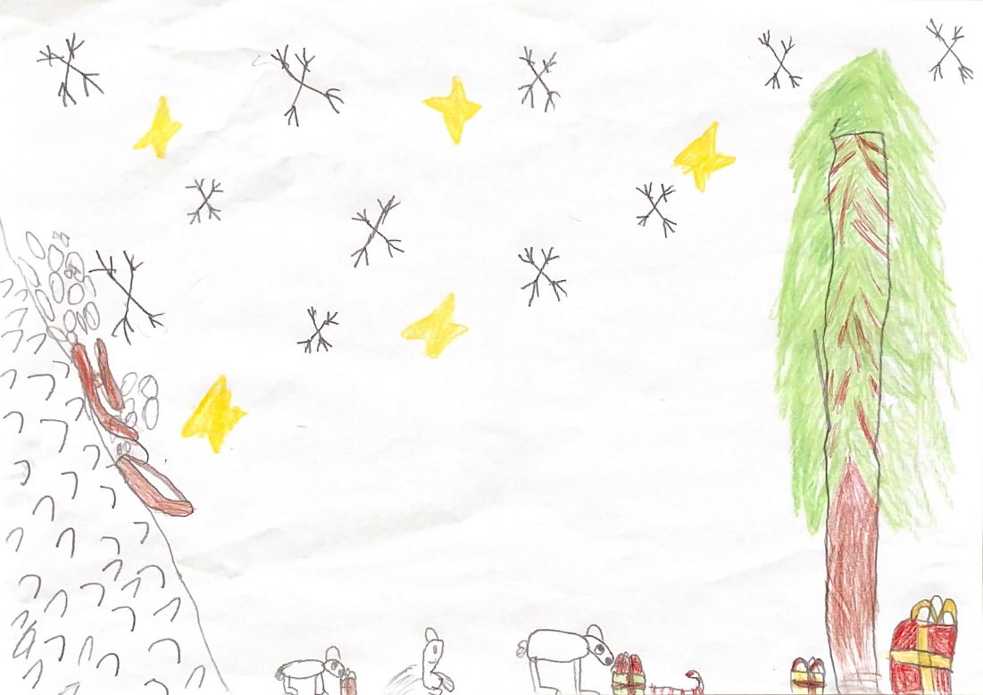 Nordmann's Christmas Card Challenge 2024 Nordmann's Christmas Card Challenge 2024