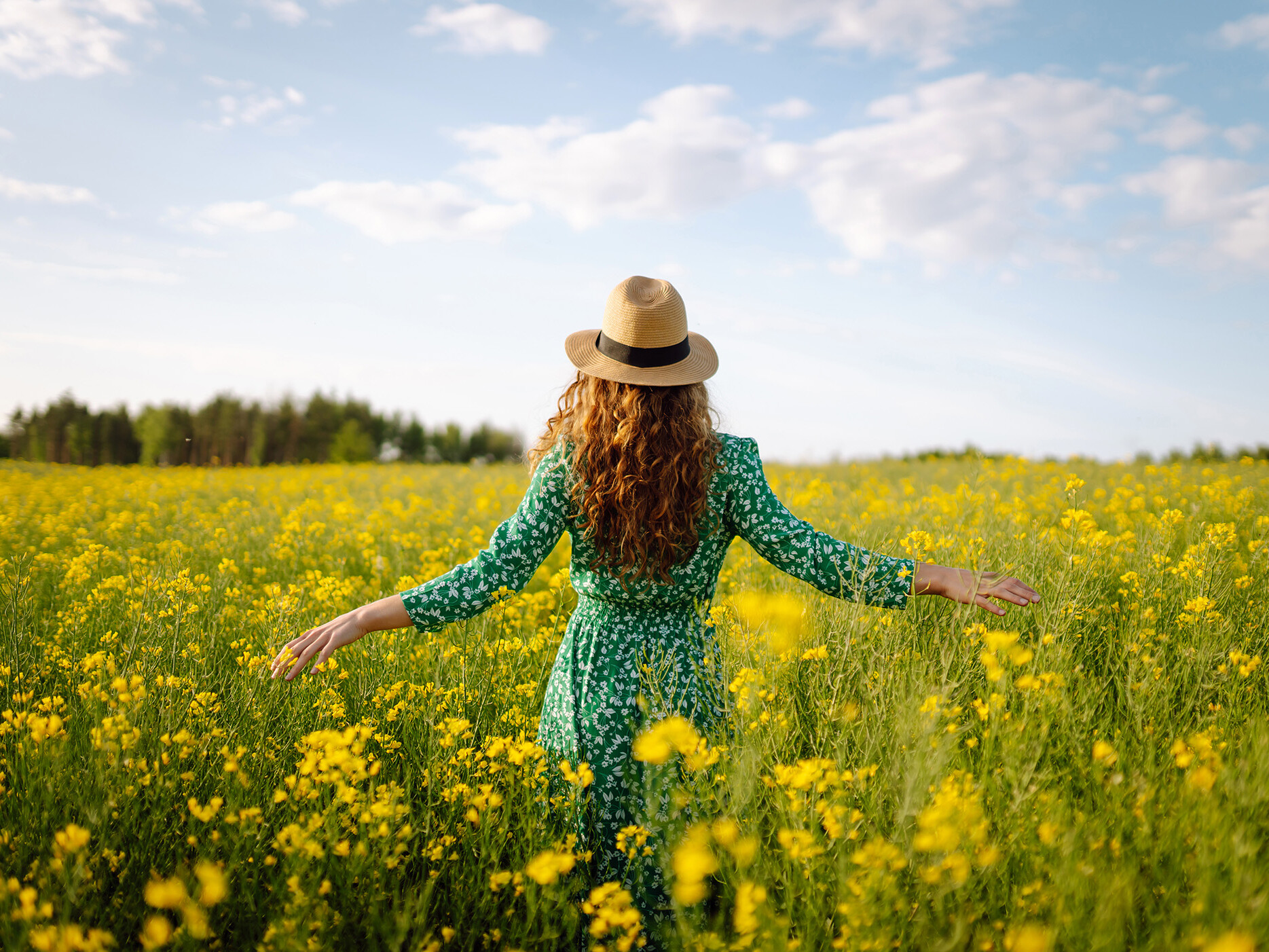 Facing a woman's back standing a field of rape seed