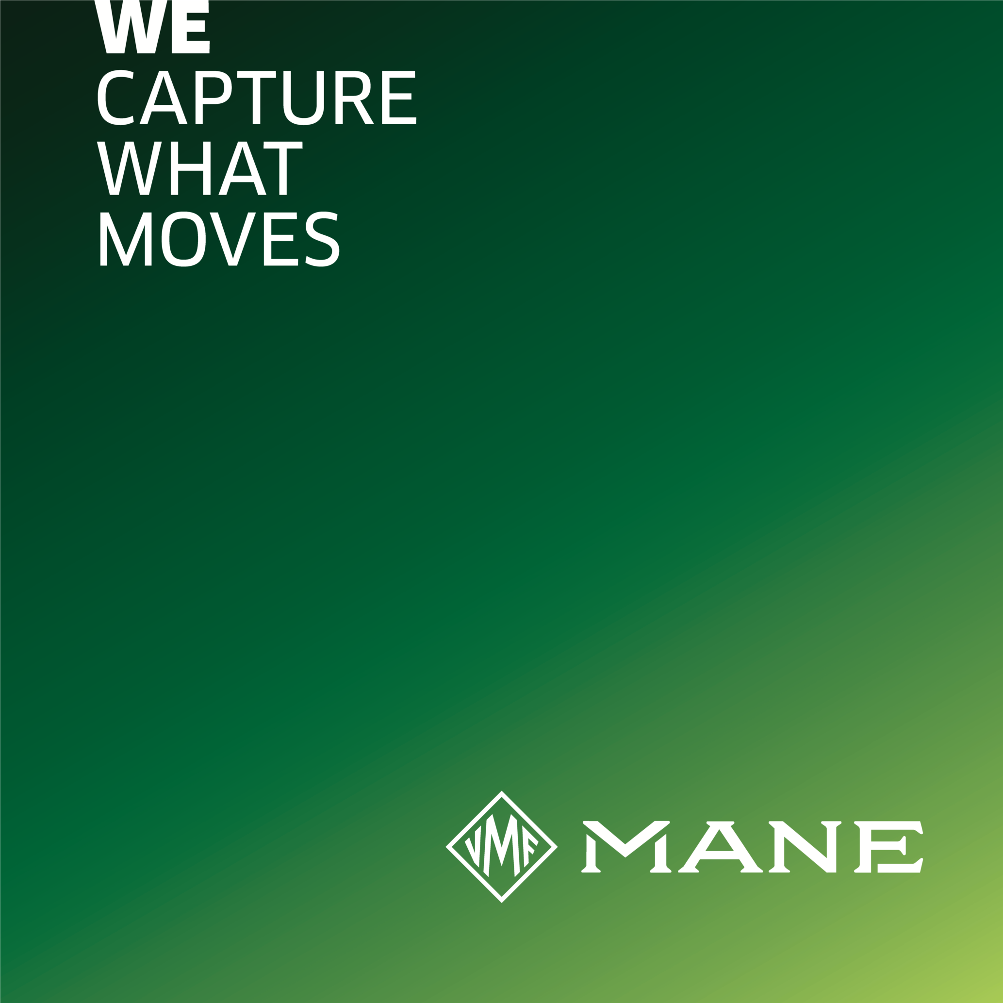 Logo MANE