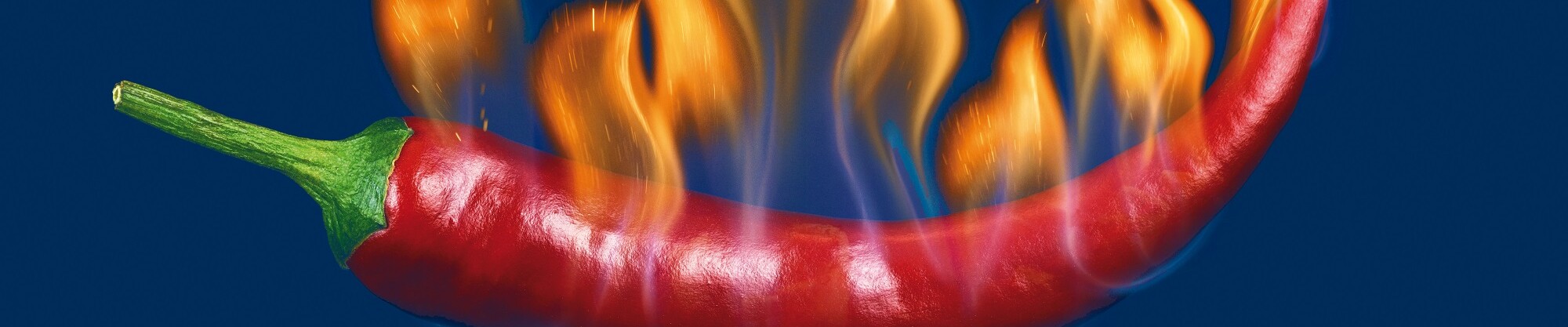 Flame retardants at Nordmann Flame retardants