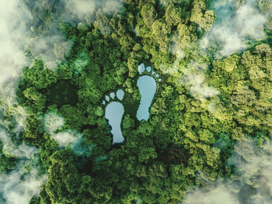 Amprenta ecologică