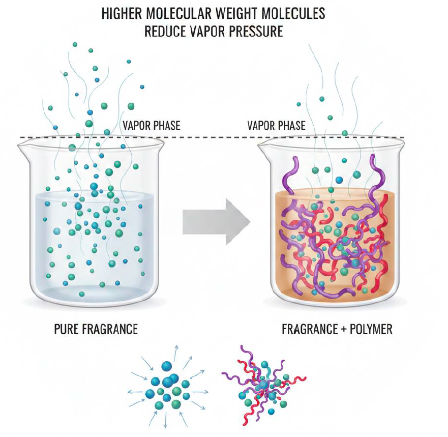 Comment optimiser Citropol F dans votre formulation