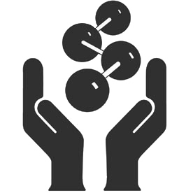 Responsible Care Responsible Care Logo