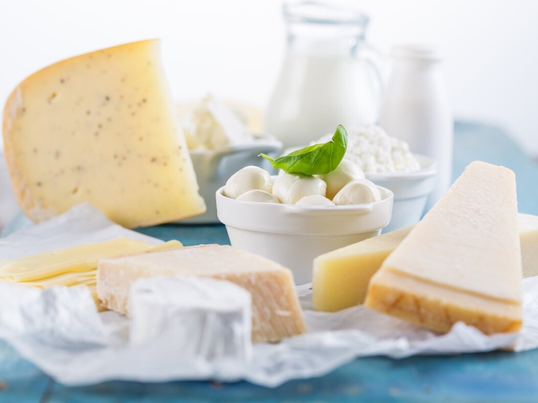 Different kinds of cheese