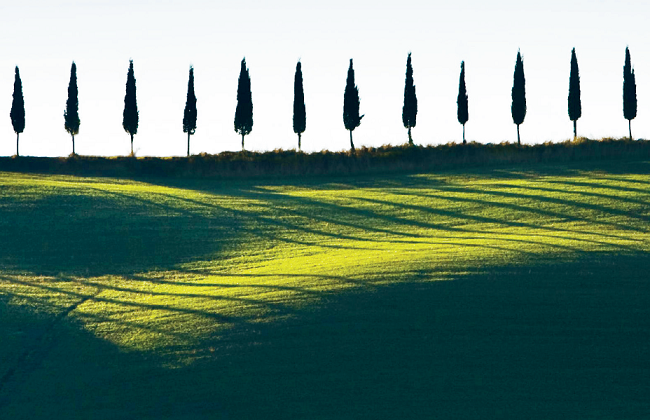 TPV Compound: Innovation – Made in Italy trees, green grass, blue sky