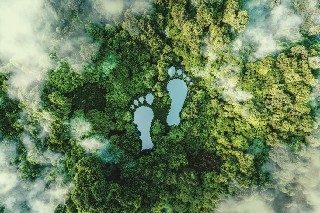 Amprenta ecologică