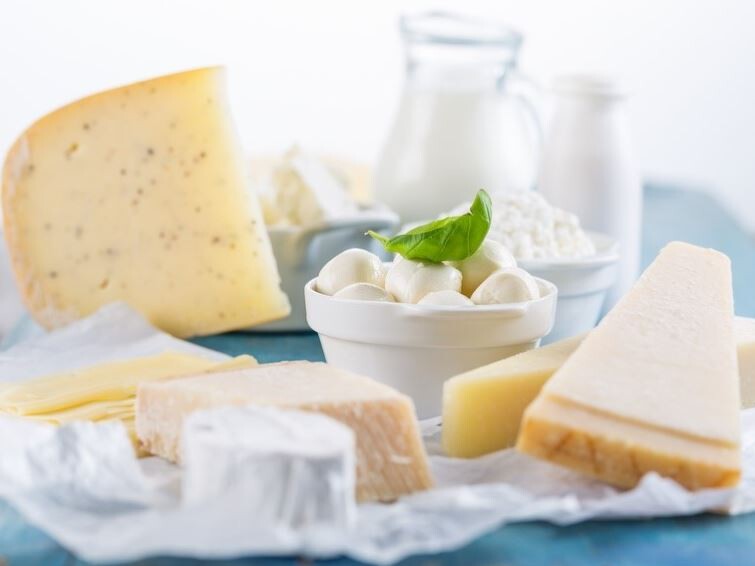 Auf der Suche nach Ölen und Fetten für pflanzliche Milchalternativen? Käsesorten